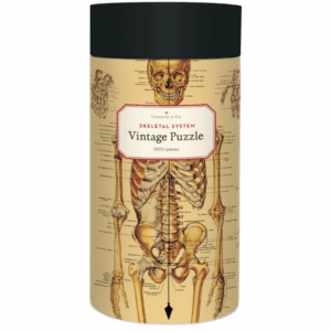 Puzzle Skeleton 1000 piezas Cavallini