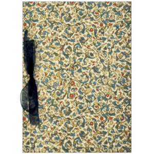 Libro de Testigos Medicea