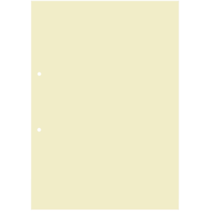 Recambio 10 hojas para Libro de Firma de Testigos