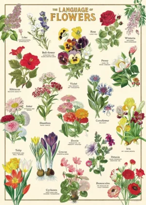 Póster The Lenguage Of Flowers