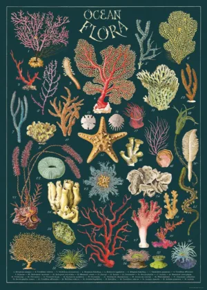 Póster Ocean Flora